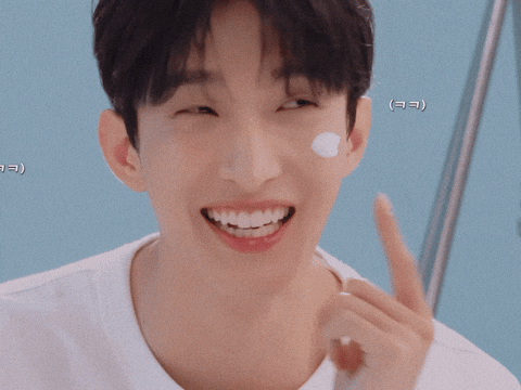 Dk 세븐틴 GIF