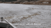 viceland GIF by RISE