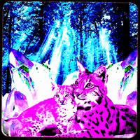 los angeles love GIF by MUTANT MAGIC