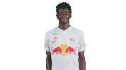 Football Come Here Sticker by FC Red Bull Salzburg