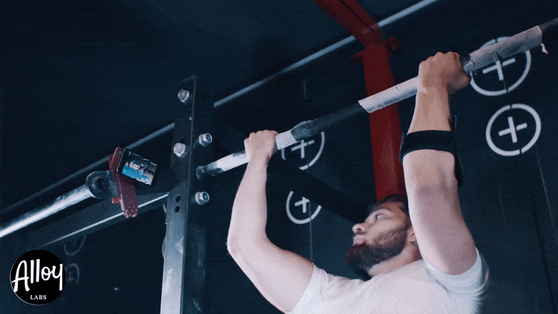 alloylabs giphyupload GIF