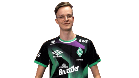 Fifa Ea Sticker by SV Werder Bremen