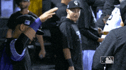 parra GIF by MLB