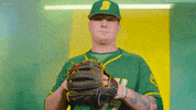 North Dakota State Baseball GIF by NDSU Athletics
