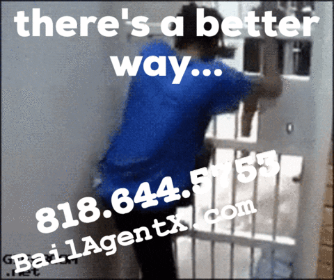 BailAgentX theres a better way 8186445753 GIF