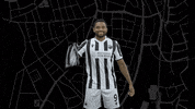 Svs1916 GIF by SV Sandhausen