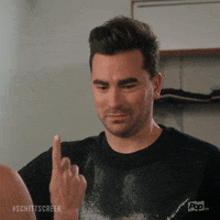 Pop Tv No GIF by Schitt's Creek