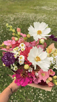 alisgarden flowers farm GIF