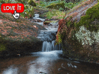 Duales Studium Emsraum GIF by FranchiseONE.de