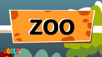 Z Is For Zoo