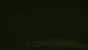 Momo Kinta GIF