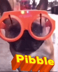 Rango Pibble GIF