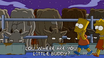 Lisa Simpson GIF by The Simpsons