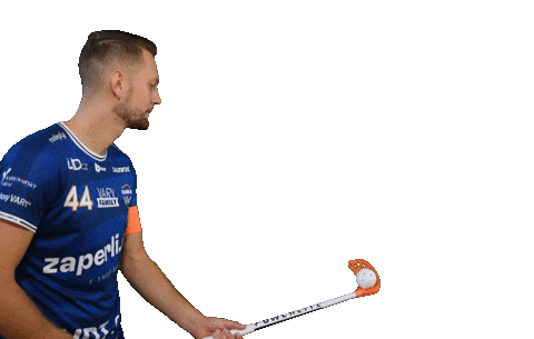Karlovy Vary Floorball Sticker by Český florbal