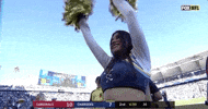 2018 Nfl Football GIF by NFL