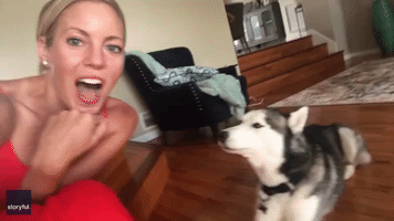 And They Called It Puppy Love – Husky Mimics Owner’s Declaration of Love