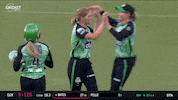 Melbourne Stars Celebration GIF by StarsBBL