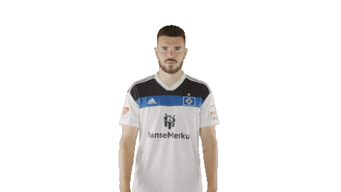 Soccer Celebration Sticker by HSV