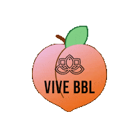 Vive Sticker by ViveMedGroup