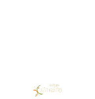 Colegiosimetria Sticker by Simetria