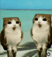 Twin GIF