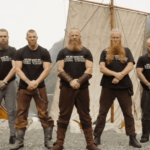 T Shirt Vikings GIF by THE BEARD STRUGGLE