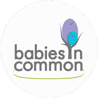 Bic Circle Logo Sticker by babies in common
