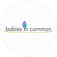 Bic Circle Logo Sticker by babies in common
