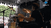Happy Fun GIF by MolaTV