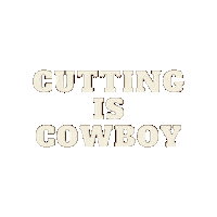 NCHACutting horse cowboy cutting horse Sticker
