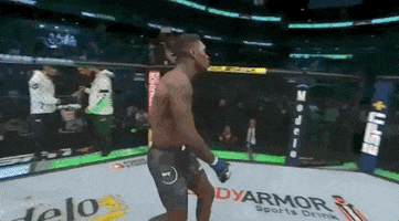 ufc sports sport ufc mma GIF