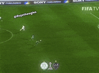 Atletico Mineiro Brazil GIF