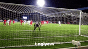 Turan GIF