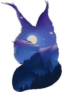 Night Moon Sticker