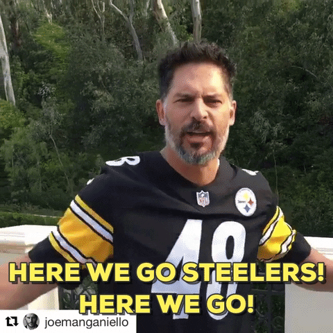 Pittsburgh Steelers Nfl GIF by Bose