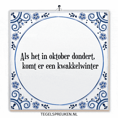 Humor Nl GIF by Tegelspreuken.nl