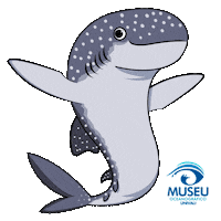 Polvo Mar Sticker by Universidade do Vale do Itajaí - Univali