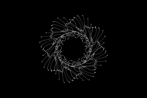 asbad44 giphyupload animacao formas vetor GIF