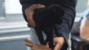 National Geographic Reaction GIF by Nat Geo Wild