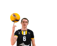 Prvball ball volleyball spin prvb Sticker