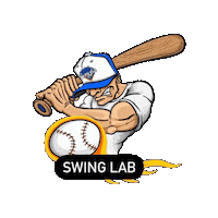 Swing Lab Baseball Sticker by Swing Lab
