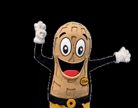 fselrincon here hands handsup aqui GIF