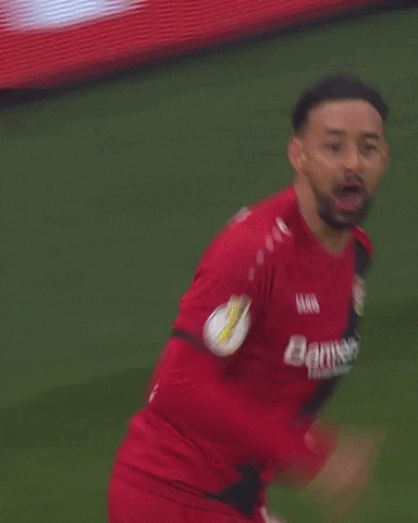 werkself GIF by Bayer 04 Leverkusen