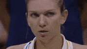 usopen tennis us open us open tennis simona halep GIF