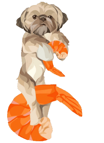 Dog Teddy Sticker