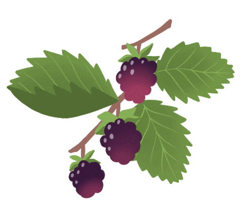 Fall Fruit Sticker by molehill