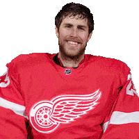 Ice Hockey Thumbs Up Sticker by Detroit Red Wings