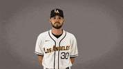 Cal State La Baseball GIF by Cal State LA Golden Eagles