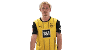 Borussia Dortmund Sticker by Bundesliga