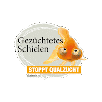 akademievet  Sticker